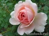 Abraham Darby