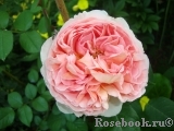 Abraham Darby