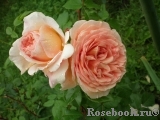 Abraham Darby