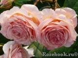 A Shropshire Lad