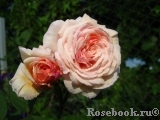 A Shropshire Lad