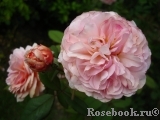 A Shropshire Lad