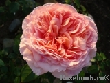 Abraham Darby