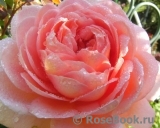 Abraham Darby