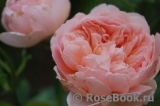 Abraham Darby