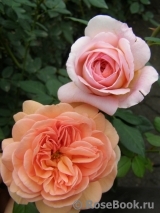 Abraham Darby