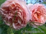 Abraham Darby