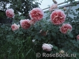 Abraham Darby