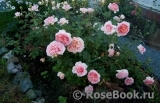 Abraham Darby