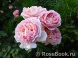 Abraham Darby