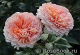 Abraham Darby