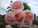 Abraham Darby