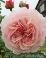 A Shropshire Lad