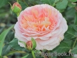 Abraham Darby