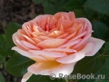 Abraham Darby