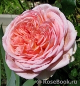 Abraham Darby