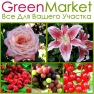 Аватар пользователя - GreenMarket